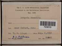 Arcyria denudata image